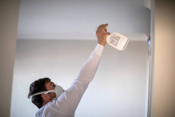 Best Fast Mold Removal  in Union Gap, WA