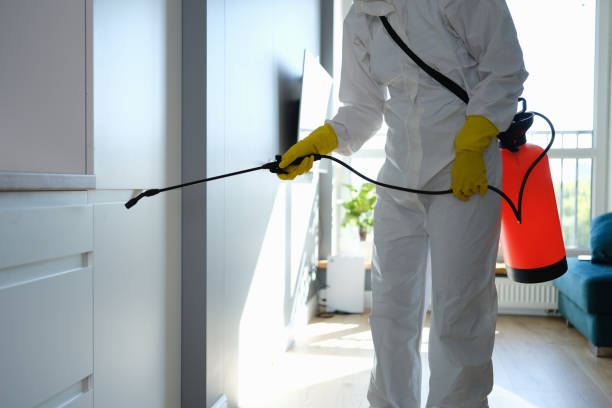 Best Residential Mold Removal  in Union Gap, WA