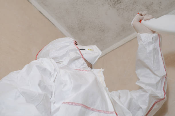 Best Mold Damage Repair  in Union Gap, WA