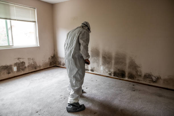 Crawl Space Mold Removal in Union Gap, WA
