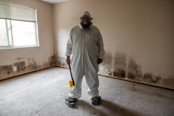 Best Toxic Mold Removal  in Union Gap, WA